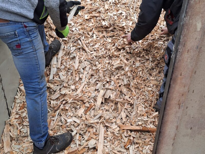 ROZDRABNIACZ RĘBAK TARCZOWY PETERSON 5900